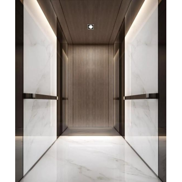 Ascenseur domestique sûr et confortable