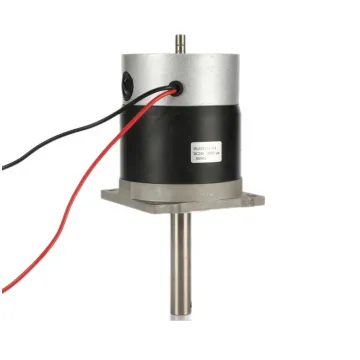 High-Quality 12V Permanent Magnet Micro DC Brush Motor with Continuous Current