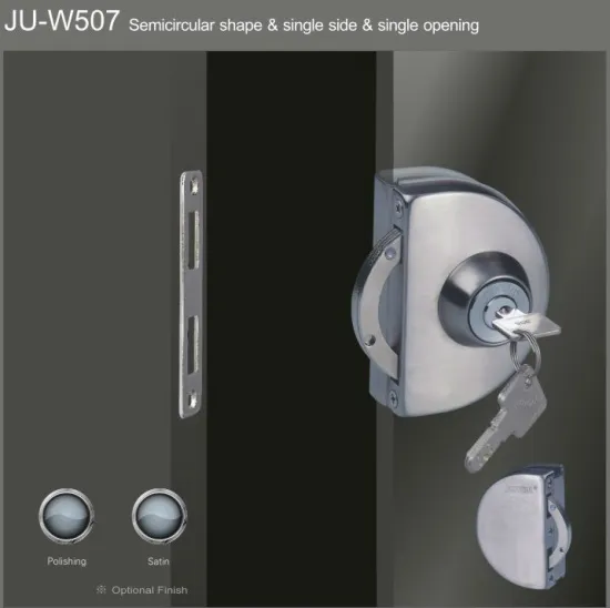 SS 304 fashion single leaf glass central lock