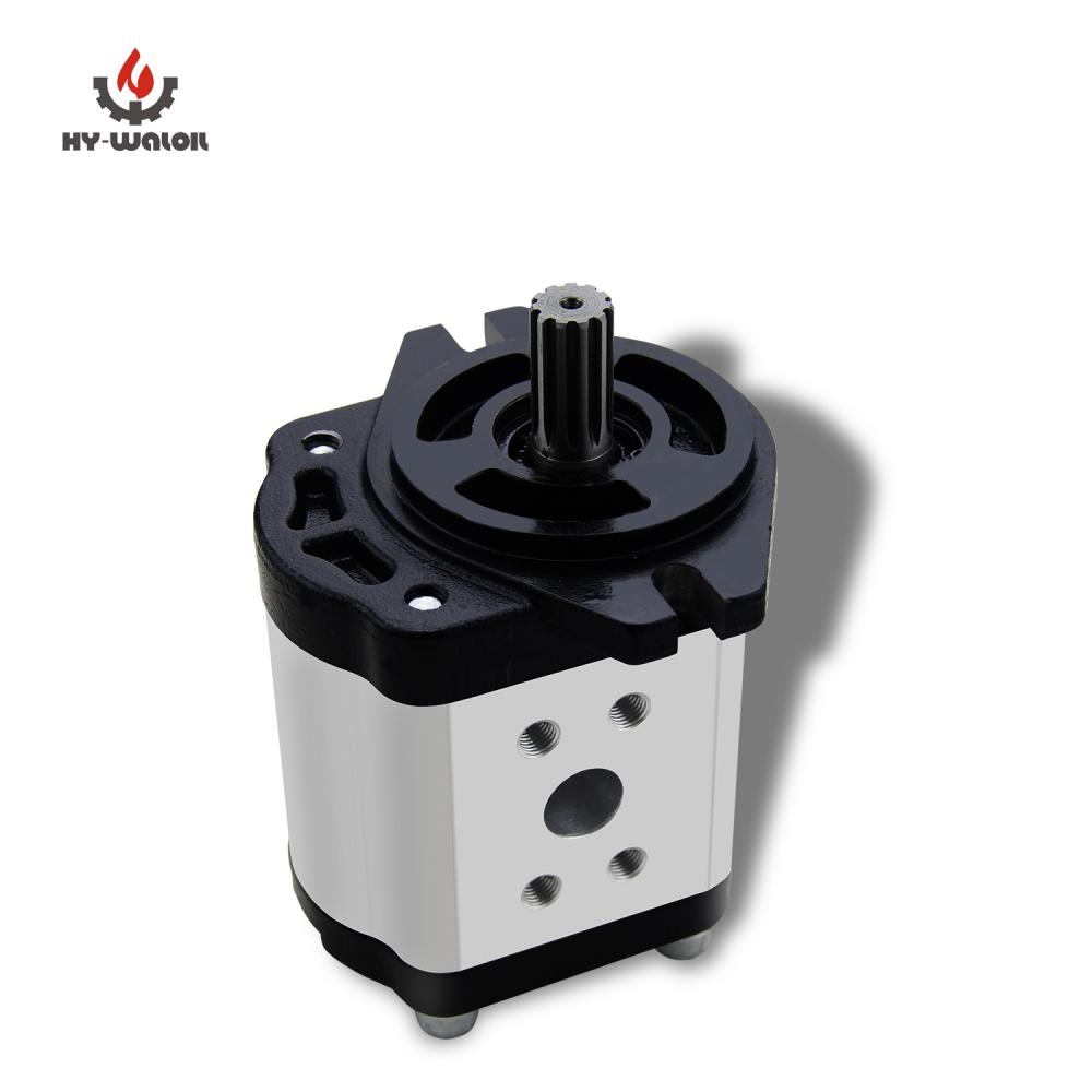 Cbt F4 Rotary Gear Pump