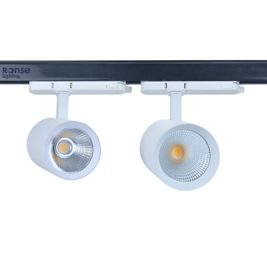 RONSE Modern 2024 2700K 20W Circular 2 Wire LED Track Light for Living Area, CCC 220V (European Version)