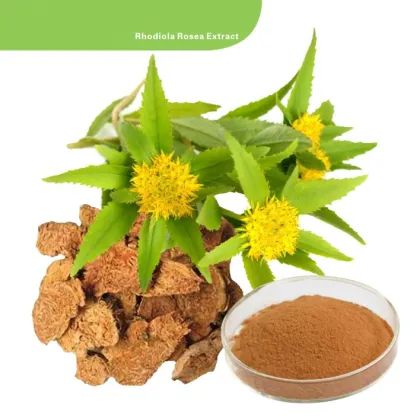 Rhodiola Rosea Extract Rhodiola rosea