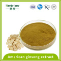 Regulación de la presión arterial 8% American Ginseng Saponin