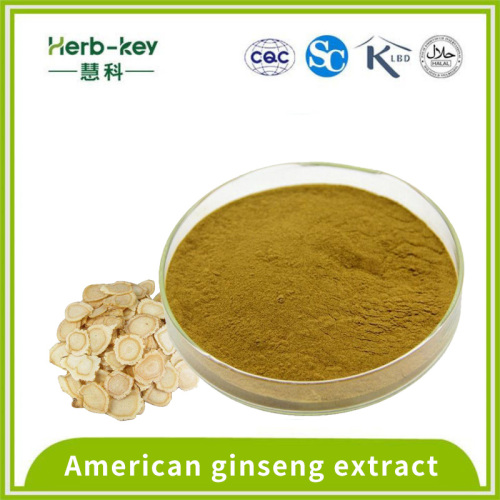 Regulando a pressão arterial 8% American Ginseng Saponin