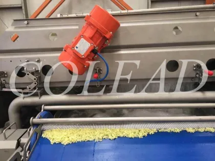 Lettuce washing machine/salad washing machine