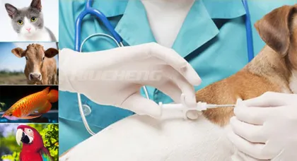 Animal Tags / RFID Microchip Bioglass Tags