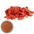 Wholesales Black Goji Berry Extract Powder