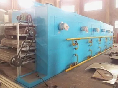 Areca-Nut Special Belt Dryer