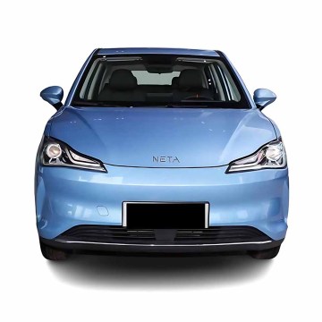 2022 Neta V Chao 300 Custom Electric Vehicle