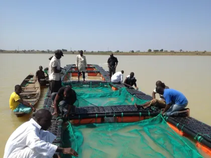 Aquaculture Abalone Cage