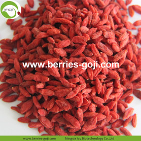 Nhà máy Mới đến Nhà cung cấp Goji Berry khô