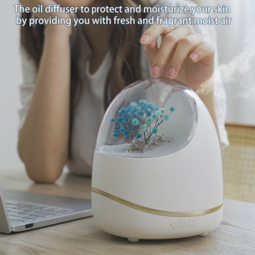 Flower aromatherapy Aroma Diffuser and humidifier
