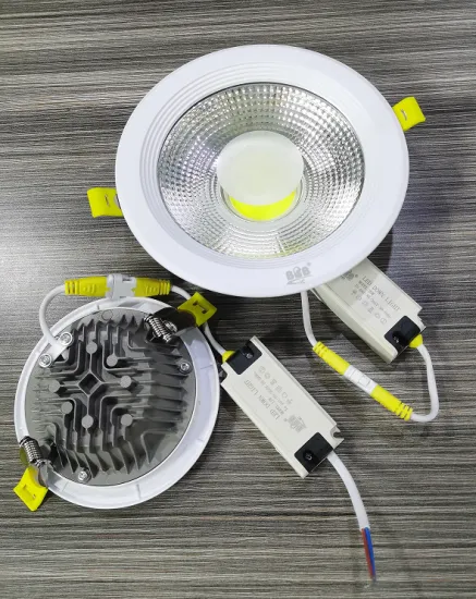LED Down light 30W
