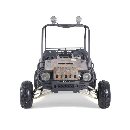 Tao Motor 125cc Chain Drive Adult Off-Road Buggy
