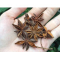 Illicium Verum