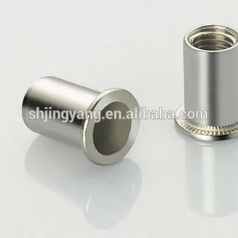 China Professional Manufacturer Supply rivet nuts-flat head rivet nuts