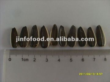 5009 Sunflower Seeds(2012 new crop)