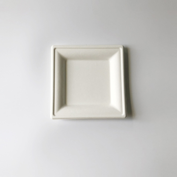 6 -calowa płyta Bagasse 160x160 mm