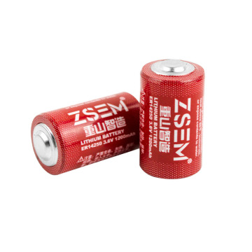 Lithium battery smart water meter battery