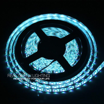 5M 24V Blue 300LEDs Waterproof LED SMD 5050 Flexible Strip Light