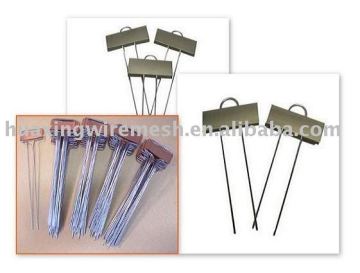 Zinc Plant Markers