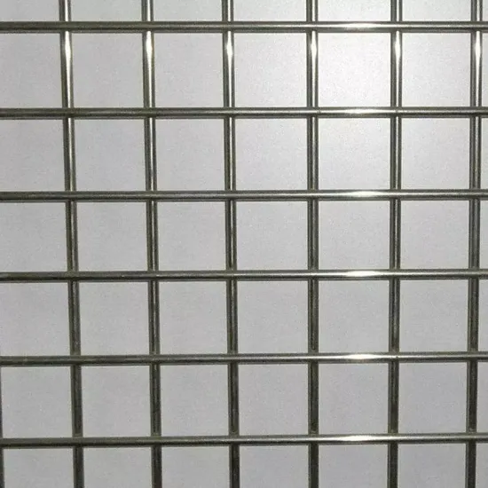 Stainless Steel 304 Welded Wire Mesh for Protection