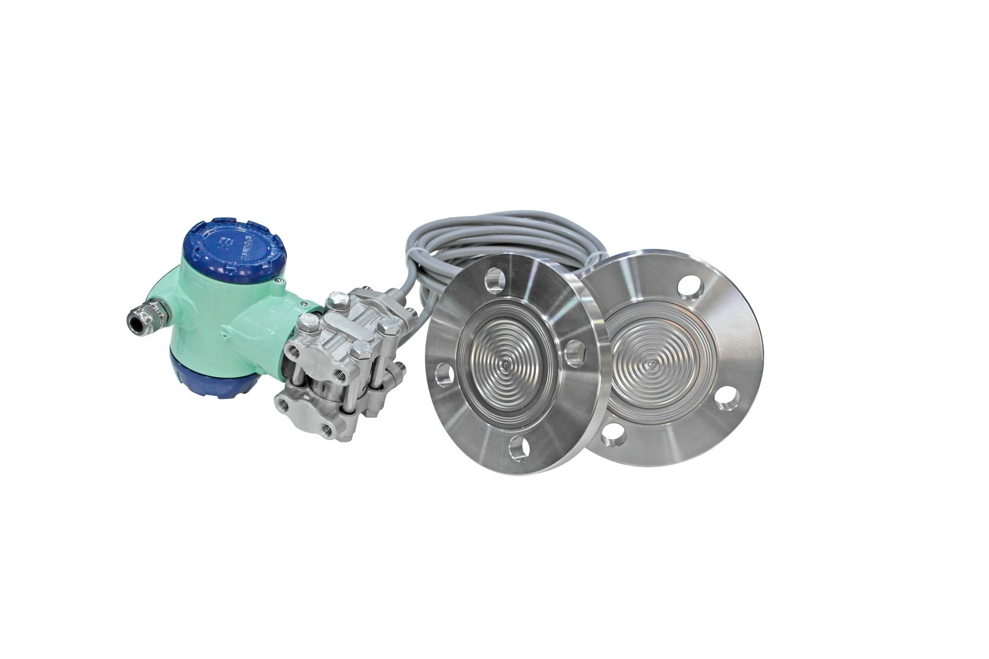 Double flange differential pressure transmitter