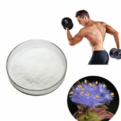 Dew Grass Extract Beta Ecdysone Powder