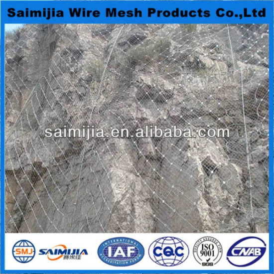 Export Australia Slope protect mesh made in china