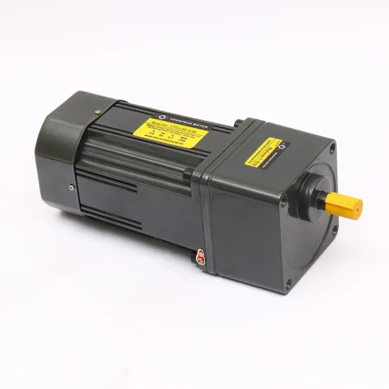 HIGH Torque 110V/220V Reversible AC Motor