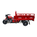 Motorized tricycle for home use