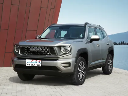 Direct Factory Price Haval Dargo 2024 New SUV - 1.5T/2.0T Fuel Vehicle