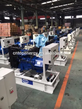 13KVA FG WILSON open and with cabinet gensets (P11-6S P13.5-6 P16-6S) FG wilson Diesel generator Factory Price