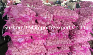 Health benefit Chinese garlic packaged by mesh bag