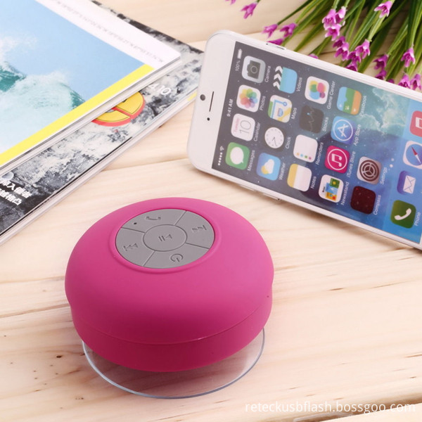 Bluetooth Speaker