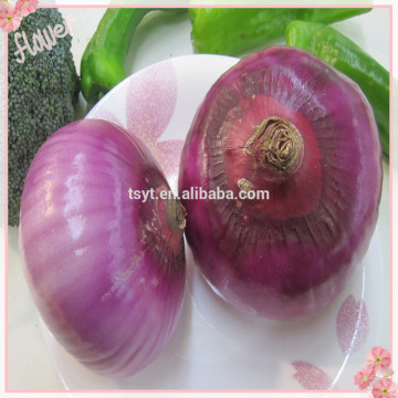 2015 Fresh Onion Top Sale From China Exporter