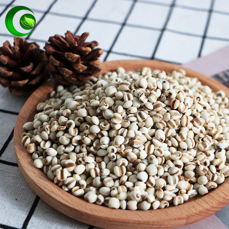 SEMEN COICIS ,coix Seed,barley Rice,Barley Seed,barley Kernels, NGS; Barley Jen; Yi Yi Ren , Lachrymae Jobi,YiMi Jobstears Seed