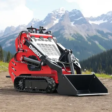China Famous Brand Mini Loader