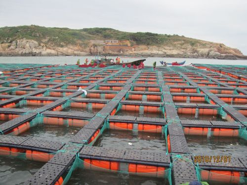 HDPE Sea Bass Culture Cage