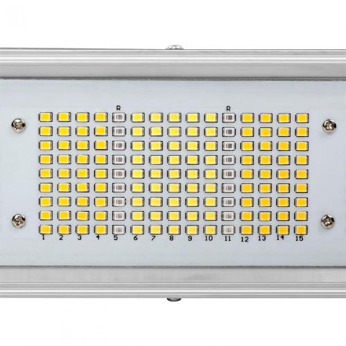 IP65 방수 원예 LED 성장 빛