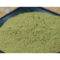 High Quality Waxgourd Peel Extract Powder