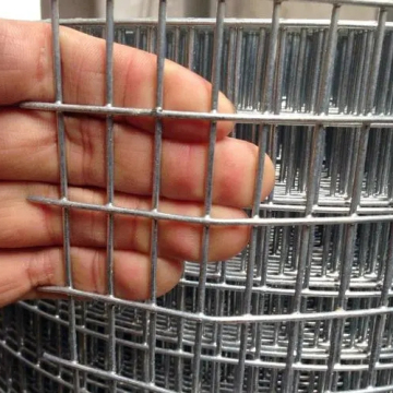 Stainless Steel PVC Coated Galvanized Rabbit Cage Fence Mesh