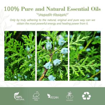 100%Pure Thuja Essential Oil For Skin Care Aromatherapy Nourishing