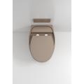 Wall Hung Toilet With Toilet Seat