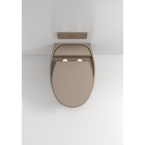 Wall Hung Toilet With Toilet Seat