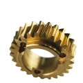 Svart precision Custom Nylon Plastic Worm Gear