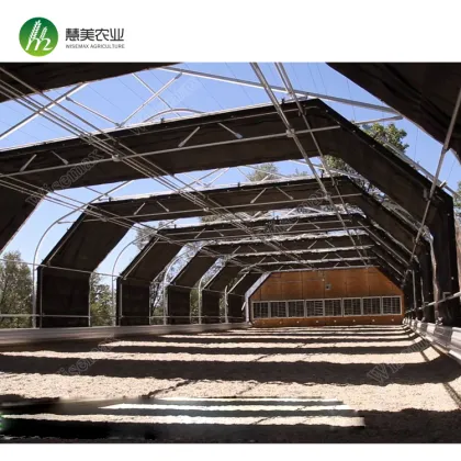 Cheap forever blackout flowering auto light deprivation greenhouse