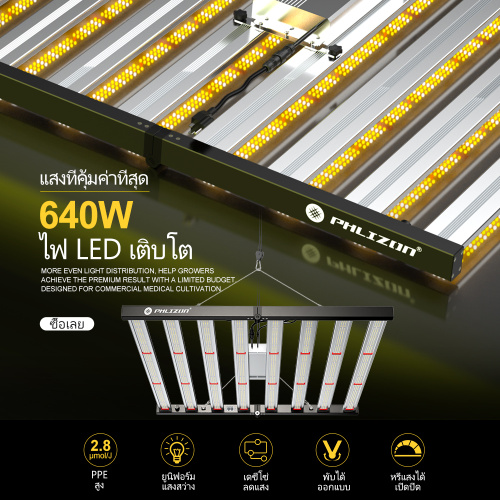 Luce di coltivazione personalizzabile per pianta interna 640W