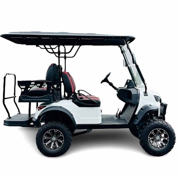 Electric Cars and Golf Carts: 2-8 Seat Options in Metal, Steel, Plastic for Off-Road Adventures