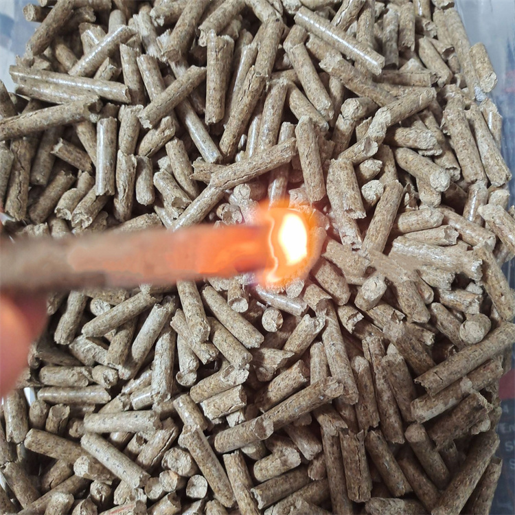 Biodegradable Biomass Fuel